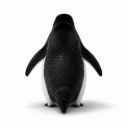 TuxNest